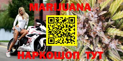 прущие грибы Донской