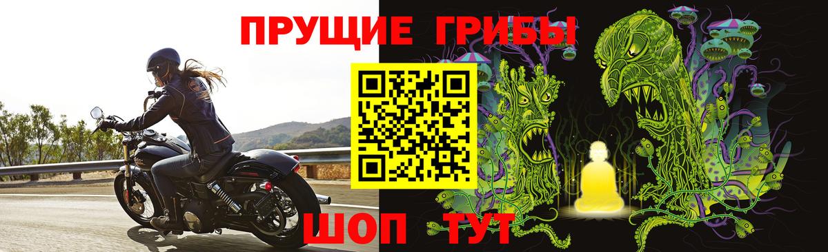 Галлюциногенные грибы GOLDEN TEACHER Москва