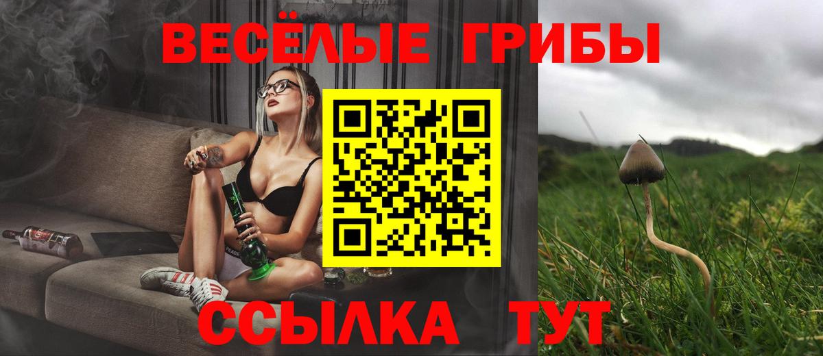 Москва  Псилоцибиновые грибы Cubensis  Галлюциногенные грибы прущие грибы  Вход с VPN 
