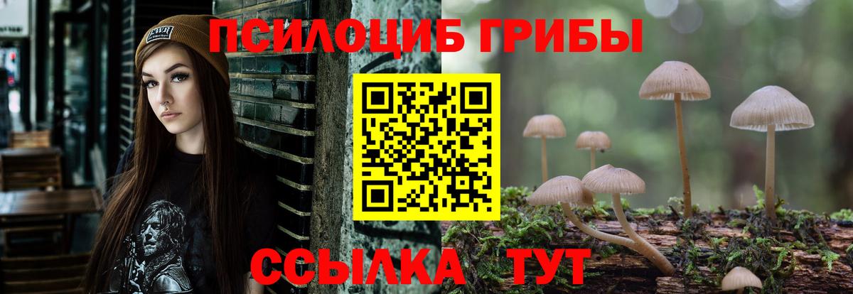 Псилоцибиновые грибы прущие грибы Москва